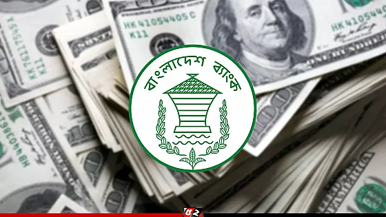 ১৯ দিনে দেশে এলো ২৪৮ কোটি ডলারের বেশি রেমিট্যান্স