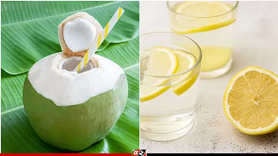 ডাব নাকি লেবু? গরমে কোনটি বেশি উপকারী 