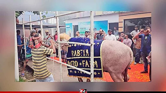 ‘ডোনাল্ড ট্রাম্প’-কে রাজকীয় আয়োজনে বিদায়
