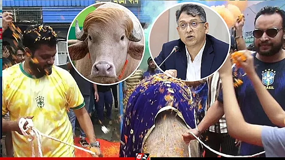 স্বরাষ্ট্রমন্ত্রীর হস্তক্ষেপে ‘ডোনাল্ড ট্রাম্প’ ফিরলো খামারে