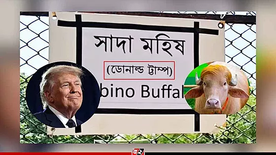 ‘ডোনাল্ড ট্রাম্প’ নামের বানান ভুল, জাতীয় চিড়িয়াখানার কিউরেটর বরখাস্ত