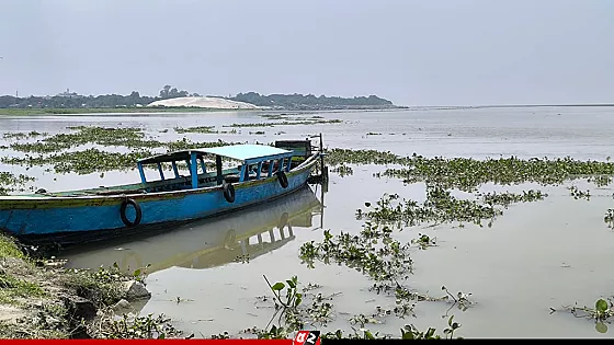  যমুনার পানি বাড়ায় তলিয়ে যেতে শুরু করেছে নিম্নাঞ্চলের চর