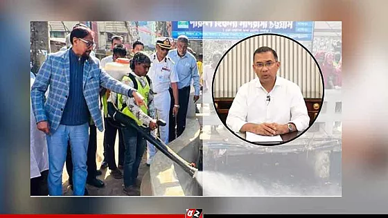 আমেরিকায় নয়, সন্ধ্যার পর ডোবার ধারে দাঁড়ালেই মিলবে মশা নিধনের কৌশল