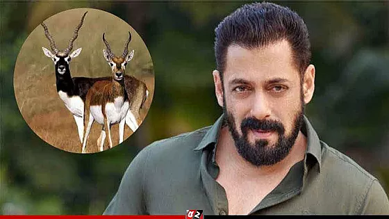 হরিণ হত্যা মামলা নিয়ে সিনেমা, আইনি নোটিশ পেল নির্মাতারা     