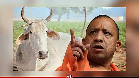 গরু শুধু ‘গোমাতা’ নয়, তিনি আমাদের রাষ্ট্রমাতাও : যোগী আদিত্যনাথ 