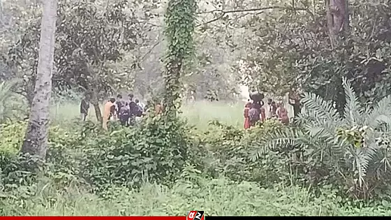 পুশইন চেষ্টা রুখে দিয়েছে বিজিবি, পতাকা বৈঠক ব্যর্থ