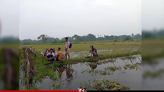 আরও ১০ জনকে পুশইনের চেষ্টা, বিজিবির বাঁধা