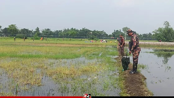 বিজিবির কঠোর অবস্থানে তিন দিন পর ১০ জনকে ফিরিয়ে নিলো বিএসএফ