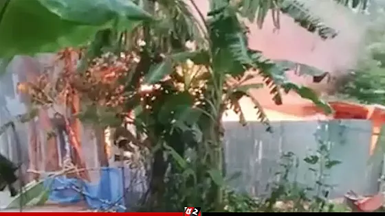 কিশোরীকে ধষর্ণ ও হত্যার জেরে আসামিদের বাড়িতে আগুন, নিহত ৩