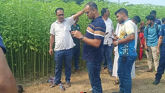 পাটক্ষেতে হাত-পা বাঁধা মরদেহ উদ্ধার 