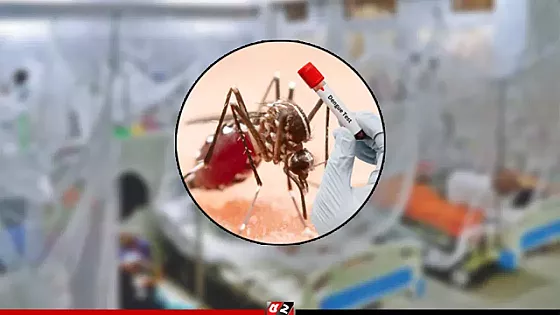 ডেঙ্গুতে ১ জনের মৃত্যু, হাসপাতালে ১১৩
