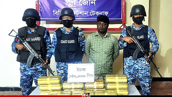 ৬ কোটি ৫০ লাখ টাকার ইয়াবাসহ একজন আটক