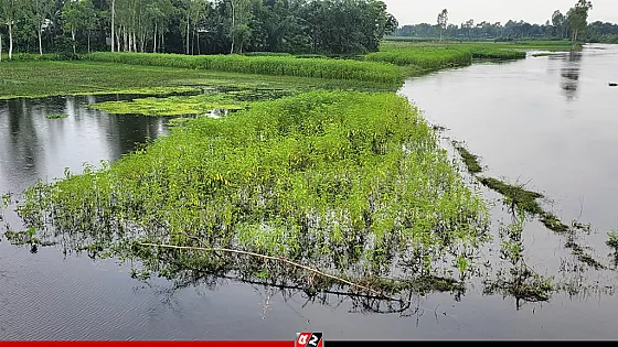 কুড়িগ্রামে ভারী বৃষ্টি ও উজানের ঢলে বাড়ছে নদ-নদীর পানি 