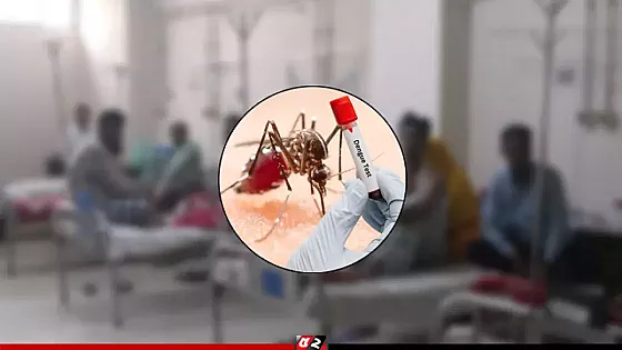 ডেঙ্গুতে আরও ২ জনের মৃত্যু, হাসপাতালে ২২০