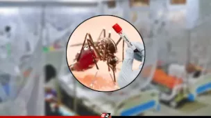 ডেঙ্গুতে আরও ২ জনের মৃত্যু, হাসপাতালে ১৫৭