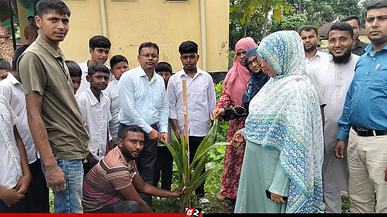 খলিলনগর ইউনিয়ন মাধ্যমিক বিদ্যালয়ে বৃক্ষরোপণ কর্মসূচি পালিত