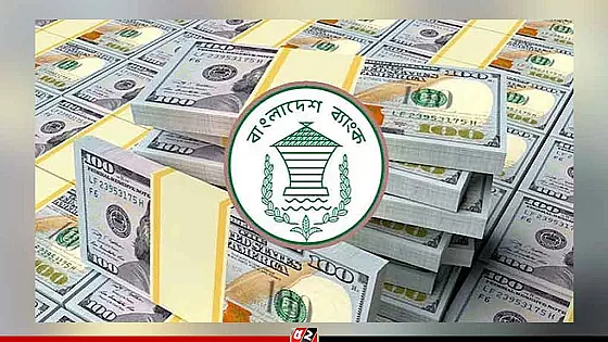 সাড়ে ৪ বছরের দেশে সর্বোচ্চ বৈদেশিক মূদ্রার রিজার্ভ 