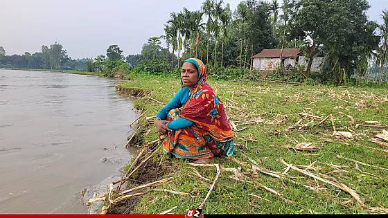 ধরলার তীব্র ডাঙনে ভিটেমাটি হারিয়ে নিঃস্ব বহু মানুষ, আতঙ্কে দেড় শতাধিক পরিবার