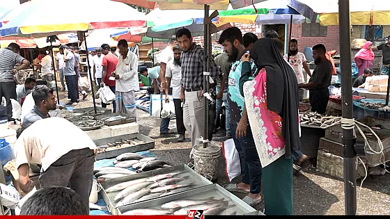 মুরগির দাম কমেনি, স্বস্তি নেই মাছের বাজারে