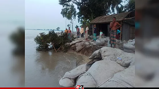 তিস্তার ভাঙনে বিলীন ৩০ বাড়ি, আতঙ্কে নদীপাড়ের মানুষ