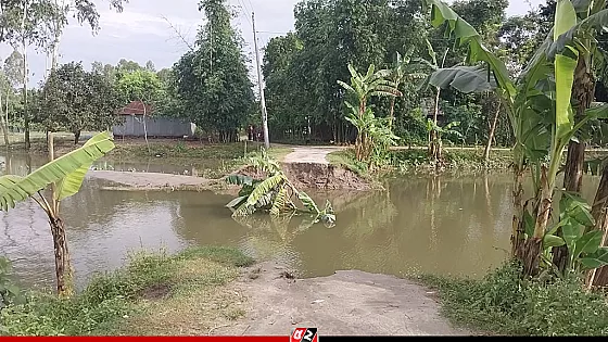 তীব্র স্রোতে কালভার্ট ভেঙে  ৫০ ফুট সড়ক বিলীন,  বিচ্ছিন্ন ৫ শতাধিক পরিবার