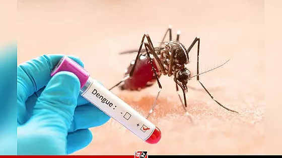 সরকারি হাসপাতালে ডেঙ্গু পরীক্ষা ফ্রি