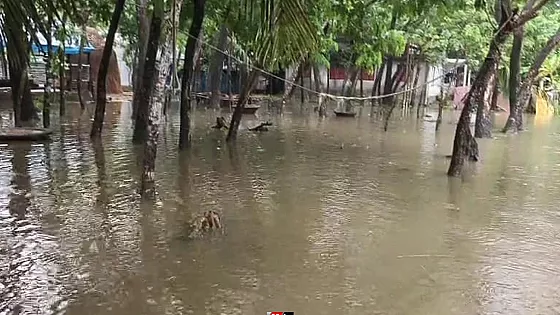  প্লাবিত হাতিয়ার নিম্নাঞ্চল, ফেরি চলাচল বন্ধ    