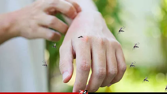 কেন কিছু মানুষকে মশা বেশি কামড়ায়?