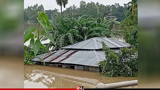 চট্টগ্রামে সাপের কামড়ে আহত হয়ে ৮৫ জন হাসপাতালে