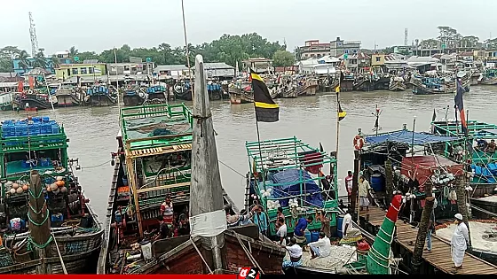 সাগরে বাড়ছে অবৈধ ট্রলিং বোটের দৌরাত্ম্য,  বিপর্যয়ের মুখে মাছসহ সামুদ্রিক প্রাণি  