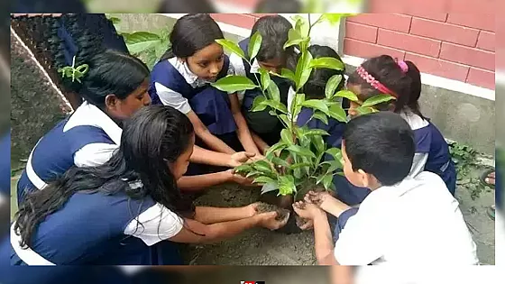 ১৫ জুলাই সব সরকারি প্রাথমিক বিদ্যালয়ে বৃক্ষরোপণের নির্দেশ