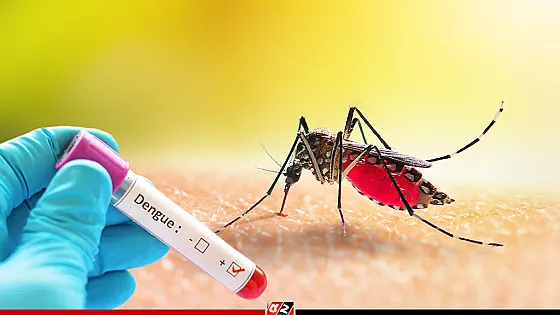 ডেঙ্গুতে আরও ২ জনের মৃত্যু, হাসপাতালে ৩৯১