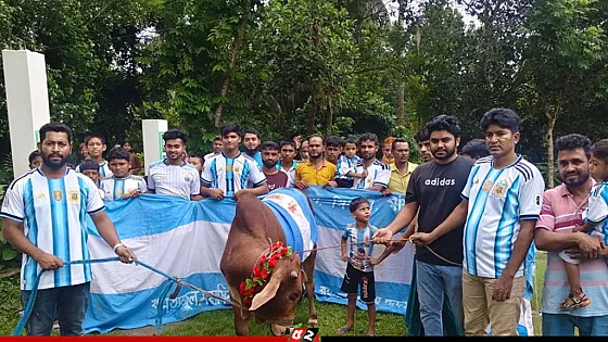 গরু জবাই করে আর্জেন্টিনা সমর্থকদের ভূরিভোজ