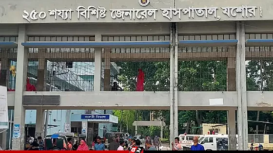 বিশ্বকাপ ফাইনাল খেলা শেষে সড়ক দুর্ঘটনা: প্রাণ গেল দুই বন্ধুর
