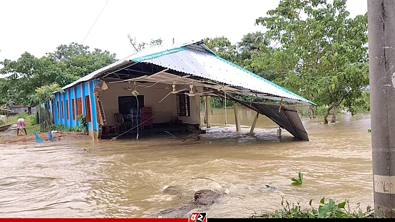 নেত্রকোনায় উজানের ঢলে ভেঙেছে সড়ক ও বিদ্যালয়