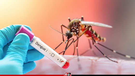 ডেঙ্গুতে ১ জনের মৃত্যু, হাসপাতালে ৪৩৯