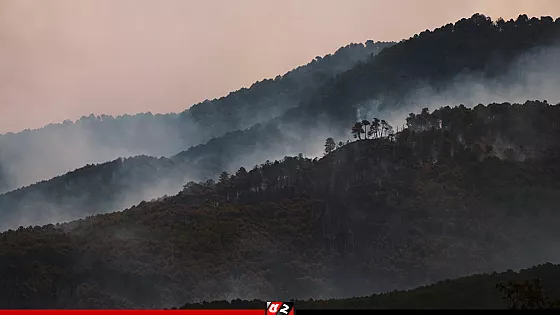 ফ্রান্স-স্পেনে ভয়াবহ দাবানলে ঘরছাড়া আড়াই লাখের বেশি মানুষ