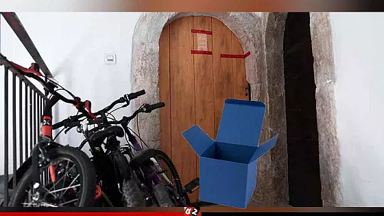 কাগজের বাক্সে মিলল পাঁচ নবজাতকের দেহাবশেষ