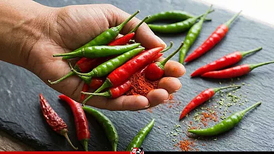 প্রতিদিনের খাবারে কাঁচা না শুকনো মরিচ, কোনটি হবে সেরা সঙ্গী?