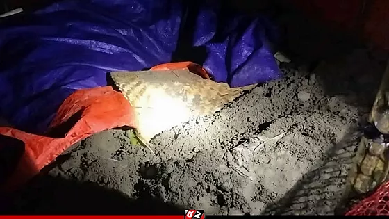 দাফনের ১২ ঘণ্টা পর জিনের কথায় কবর থেকে মায়ের লাশ তুললেন স্বজনরা!