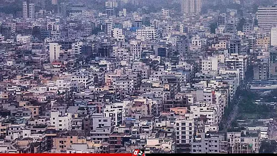 কালভার্টের নিচে পড়েছিল মাথা ও দুই হাত, খোঁজ নেই বাকি অংশের 