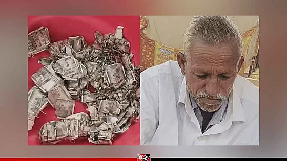 উইপোকা খেলো বৃদ্ধ কৃষকের লুকিয়ে রাখা টাকা