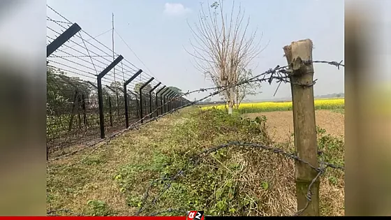 বাংলাদেশি যুবককে আটক করেছে বিএসএফ