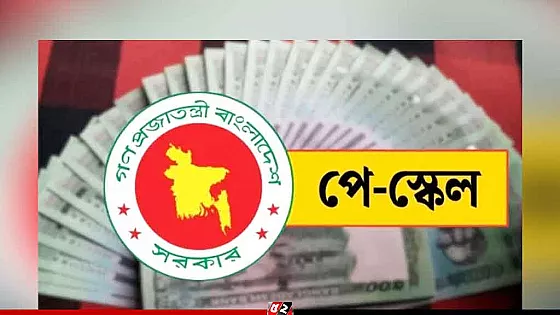 পে-স্কেল নিয়ে সুখবর দিলেন প্রধানমন্ত্রীর মুখ্য সচিব