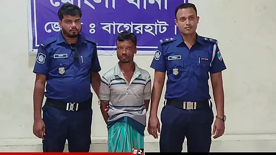 মাছ দেয়ার প্রলোভন দেখিয়ে শিশুকে ধর্ষণ, যুবক আটক