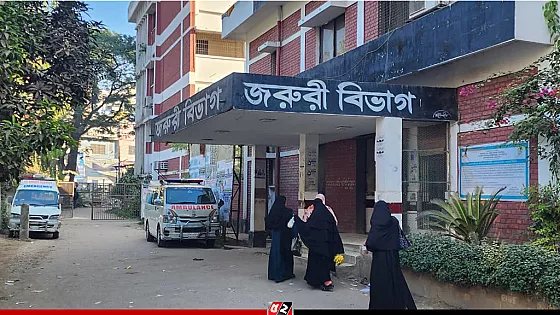 জামাইয়ের কুঠারের আঘাতে শাশুড়ি নিহত 