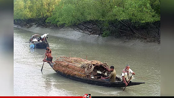 সুন্দরবনে দুই এলাকা থেকে ৫ জেলেকে অপহরণ