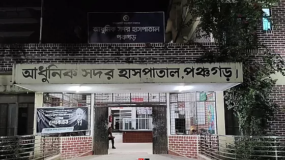 এক রাতে শিয়ালের কামড়ে ৭ জন আহত
