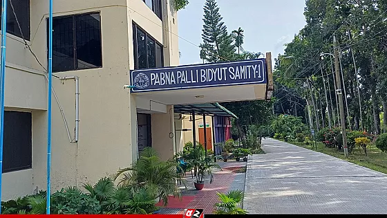 অতিরিক্ত ইউনিটের হিসাব জানতে চাওয়ায় পল্লী বিদ্যুৎকর্মীদের বিরুদ্ধে মারধরের অভিযোগ