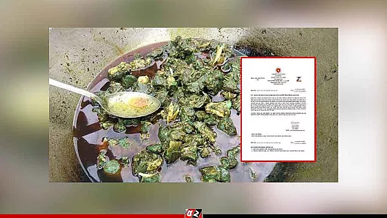 ‘সবুজ মাংস’ রহস্যের অবসান, ল্যাব রিপোর্টে মিলেছে কারণ